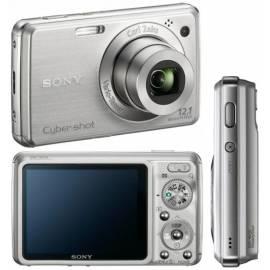 SONY DSCW210S Digitalkamera Silber