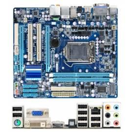 Handbuch für Motherboard GIGABYTE H55M-D2H