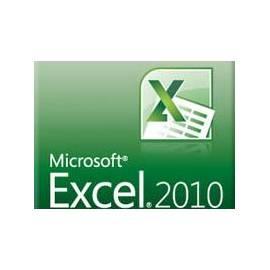 Software MICROSOFT Excel 2010 32-Bit/X 64 Tschechische DVD (065-06959)