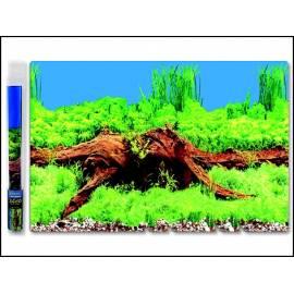 AUSGEZEICHNETER hellen AQUA Hintergrund Wurzel 150 x 60 cm