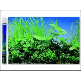 Datasheet AQUA Hintergrund Pflanzen ausgezeichnete Wasser 100 x 50 cm