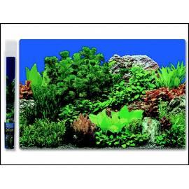 AQUA Hintergrund, ausgezeichnete Steingarten Nr. 1 60 x 30 cm