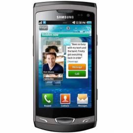 Handy SAMSUNG S8530 Wave grau