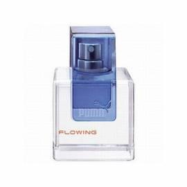 PDF-Handbuch downloadenPUMA Flowing WC Wasser 100 ml