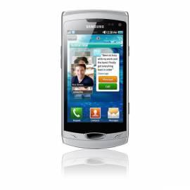 Handy SAMSUNG S8530 Wave Silber