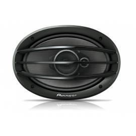 PIONEER TS-A6913i-Lautsprecher schwarz