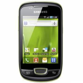 Handy SAMSUNG GALAXY Mini S5570 grün