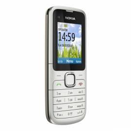 Handy NOKIA C1-01 Silber