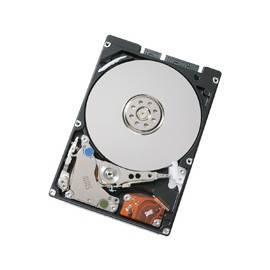 Datasheet Tought Festplatte ACER 320GB SATA 3, 5 