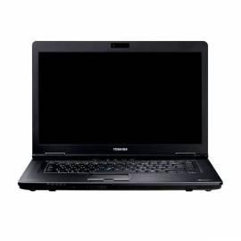 Benutzerhandbuch für Notebook TOSHIBA A11 1GE (PTSE0E-0F205NCZ)