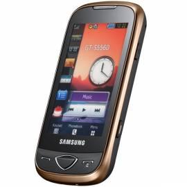 Handy SAMSUNG S5560i schwarz/gold