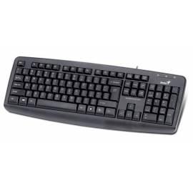 Tastatur GENIUS KB-110 X (31300711109)