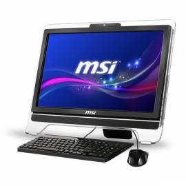 Handbuch für PC alle in einem MSI AE2050-011CS