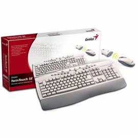 GENIUS TwinTouch Wireless Tastatur, USB (31340023112)