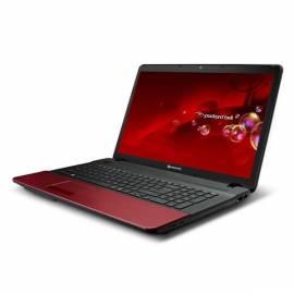 Notebook PACKARDBELL EasyNote TS13HR-343CZ (LX. BU202. 004)