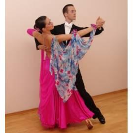 Service Manual Tanz Unterricht mit tschechischen Lektionen für 1-2 Personen (45 Minuten)-Sonderpreis, Region: Prag