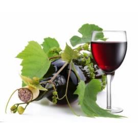 Der Wein bleibt auf und Sommer-Wochenende mit Wein und Zimbal für 2 Personen (Okr.Breclav), Region: Südmähren Bedienungsanleitung