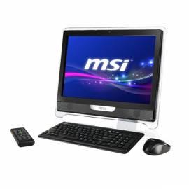 PC alle in einem MSI Wind TOP AE2210-010CS - Anleitung