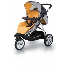 Bedienungsanleitung für X-LANDER XT Buggy 2011 Grau/Orange