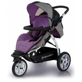 X-LANDER XT Buggy 2011 grau/lila