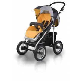 Buggy X-LANDER X 3 2011 Grau/Orange