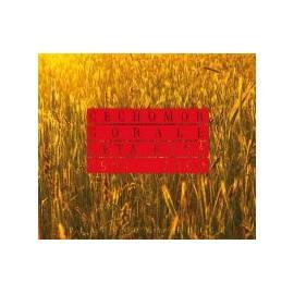 Handbuch für Cechomor Gorale/Early Years 1991-2000