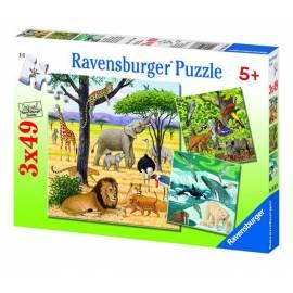 RAVENSBURGER Puzzle Welt Tiere 3x49d