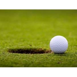 Golf, ein exklusiver Tag Golf für 1 Person (Pilsen) Region: Pilsen - Anleitung