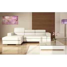 Service Manual Ecksofa set Infinity (cy-RSinfin)