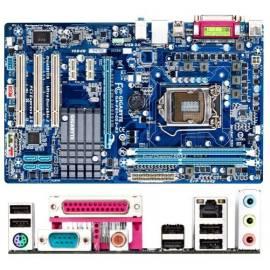 Motherboard GIGABYTE DS3-P61-B3