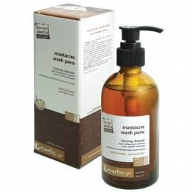 PDF-Handbuch downloadenReinigung Schaum Mastacne Wash-Pore (Schaum-Reiniger) 200 ml