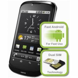 PDF-Handbuch downloadenPDA PHONES GIGABYTE GSmart G1315 (9QP1315BZB-07-111)