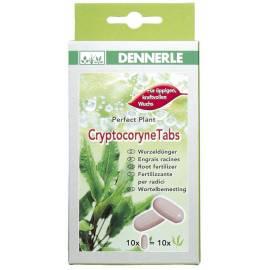 Hnojivo Dennerle Cryptocoryne tabs 10Ks