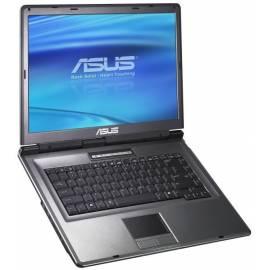 Notebook ASUS X51L (X51L-AP141) Gebrauchsanweisung