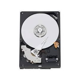 gelehrt-Festplatte WESTERN DIGITAL WD1502FYPS 1, 5TB Gebrauchsanweisung