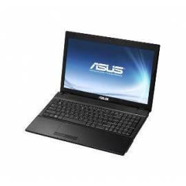 Notebook ASUS P53JC (P53SJ-SO016X) Bedienungsanleitung