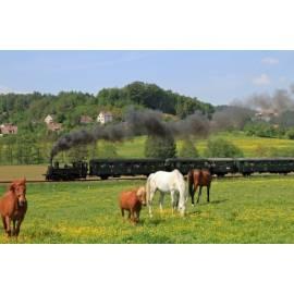 Ein Tag bei der Eisenbahn-Tag auf der Eisenbahn mit einer Dampflokomotive für 1 Person. 1 Kind + 1 Erwachsene (Turnov), Region: Liberec - Anleitung