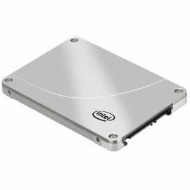 gelehrt-Disk INTEL SSD 600GB, SATA II (SSDSA2CW600G310)
