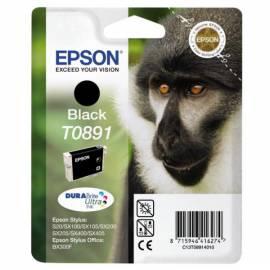 EPSON T0891 schwarz Tintenpatrone (C13T08914011)