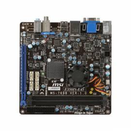 Motherboard MSI E350IS-E45 Bedienungsanleitung