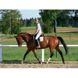 Zum ersten Mal im Sattel für 1 Person-Training-Unterricht in der Lobby oder in der Reitschule (Chrastava) Region: Liberec