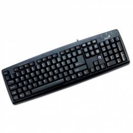 Tastatur GENIUS KB-06XE schwarz (31300008104) schwarz