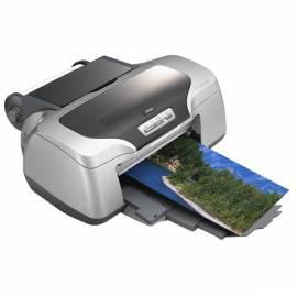 Mein Drucker EPSON Stylus Photo R800 (C11C550024CR) grau