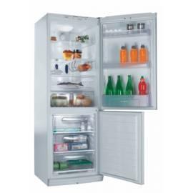 Kombination Kühlschrank / Gefrierschrank CANDY CFNF 3650 (34000685)