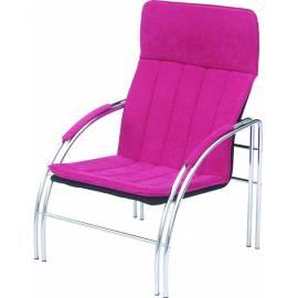 Der Stuhl des Astra (406) Gebrauchsanweisung