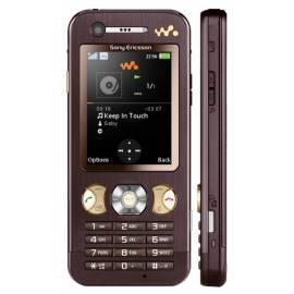 Handbuch für Handy Sony Ericsson W890i Brown (Mocha Brown)