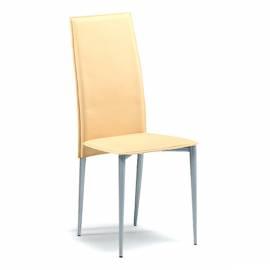 Dining Chair Zen (ZEN-AS/C)