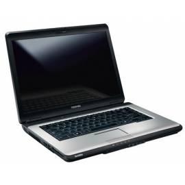 Notebook TOSHIBA Satellite Satellite L300D-10 b (PSLC0E-00900MCZ)