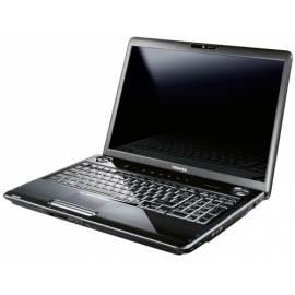 Benutzerhandbuch für Notebook TOSHIBA Satellite Satellite P300 - 20G (PSPC8E-01C01HCZ)