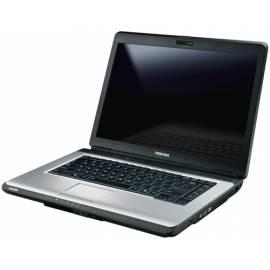 Notebook TOSHIBA Satellite Satellite L300-1EF (PSLB8E-05V00KCZ)